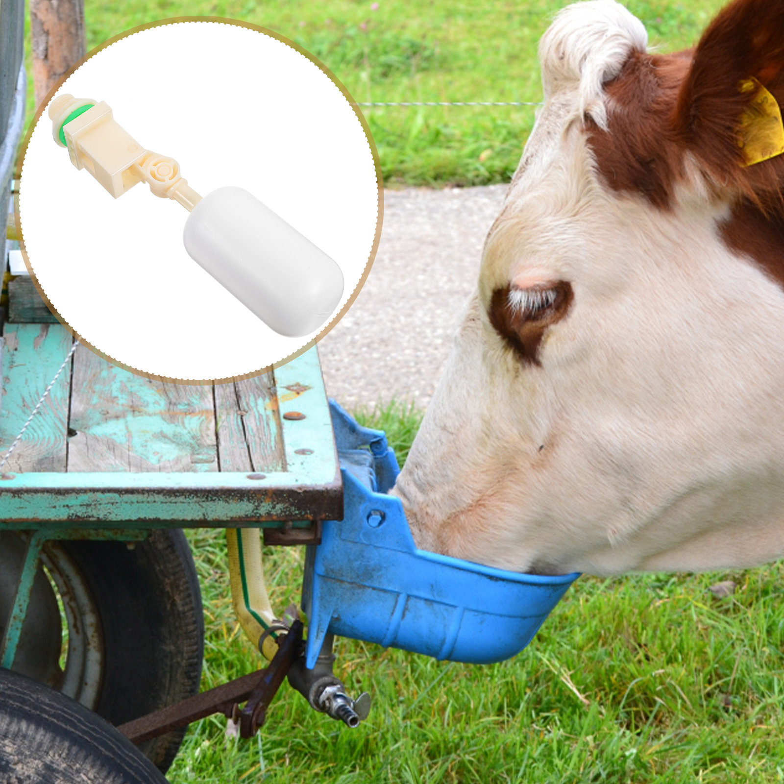 Professional Reusable PVC Floa - Float Ball Valve recensione e prezzo